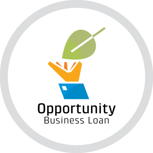 Opportunity Business Loan - for fast access to capital for existing businesses